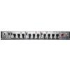 Tech 21 Trademark 60 guitar amplifier