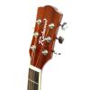 Richwood RD12 N acoustic guitar W./Dreadnought