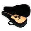 Proel PFOAM-20 case for acoustic guitar