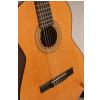 Hohner LC10N classical guitar