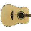 J&D MAG-3NL acoustic guitar