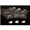 PRS 2017 SE Custom 22 Semi-Hollow Grey Black - electric guitar