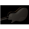 PRS SE Standard 245 BK - electric guitar