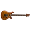 PRS 2017  SE Custom 24 Floyd Vintage Sunburst - electric guitar