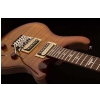 PRS 2017  SE Custom 24 Floyd Vintage Sunburst - electric guitar