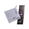 PRS SE Standard Santana Special P90 FT - electric guitar