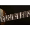 PRS 2017 SE Zach Myers Trampas Green Electric Guitar