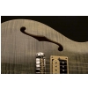 PRS 2017 SE Zach Myers Trampas Green Electric Guitar