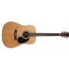 Kirkland acoustic guitar nt