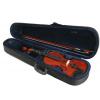 AN school violin 4/4 with case