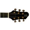 Elypse Naomi acoustic-electric guitar