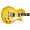 Epiphone Les Paul Standard Plus TA electric guitar