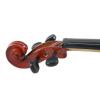 AN school violin 4/4 with case