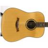 Baton Rouge 30 Starr acoustic guitar