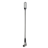 Adam Hall Stands SLED 1 ULTRA XLR 3 AC Angled 3-pin XLR Gooseneck Light with 4 COB LEDs and selectable colours 