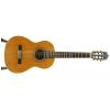 Baton Rouge LMS classical guitar