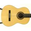 Baton Rouge LM5 SM58 classical guitar