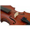 Leonardo VS-2034 violin deluxe 3/4 with case