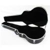 Kisielewski acoustic guitar case (ABS)