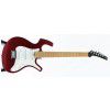Parker P-30 CH electric guitar (gig bag)