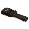 Parker P-30 CH electric guitar (gig bag)