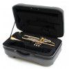 Stagg 77THG trumpet Bb, painted (with case)