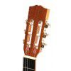 EverPlay Luthier-2 classical guitar 7/8