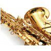 Jupiter JAS-565GL alto saxophone