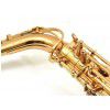 Jupiter JAS-565GL alto saxophone