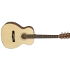 Fender CT-60S, Natural acoustic guitar
