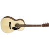 Fender CP-60S, Natural acoustic guitar