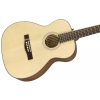 Fender CT-60S, Natural acoustic guitar