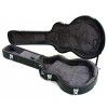 Epiphone Dot / Sheraton guitar case