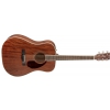 Fender PM-1 Dreadnought All Mahogany with Case, Natural acoustic guitar