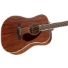 Fender PM-1 Dreadnought All Mahogany with Case, Natural acoustic guitar