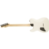 Fender Jim Root Telecaster Laurel Fingerboard, Flat White electric guitar