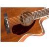 Fender PM-3 Triple-0, Ovangkol Finberboard, All-Mahogany acoustic guitar with case