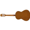 Fender CN-60S, Natural classical guitar