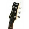 Ibanez GAX 70 TR electric guitar