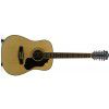 Ibanez SGT122NT acoustic guitar 12-str.