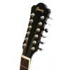 Ibanez SGT122NT acoustic guitar 12-str.