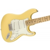 Fender Player Stratocaster MN BCR electric guitar