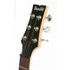 Ibanez GAX-75GPX electric guitar