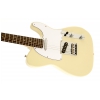 Fender Standard Telecaster Laurel Fingerboard Vintage Blonde electric guitar
