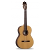 Alhambra Iberia Ziricote classical guitar