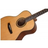 Dowina Rustica GA DS acoustic guitar