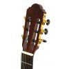 Baton Rouge LM5EQ-EH classical electric guitar