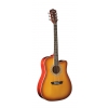 Washburn WA 90 C TS acoustic guitar