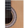 Prodipe Primera 3/4 classical guitar