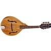 Ortega 1B RMA5NA mandolin
